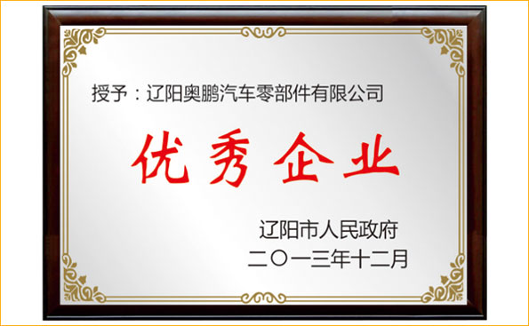榮譽資質 - 優(yōu)秀企業(yè)
